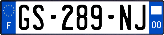 GS-289-NJ