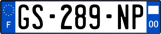 GS-289-NP