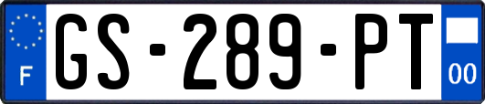 GS-289-PT