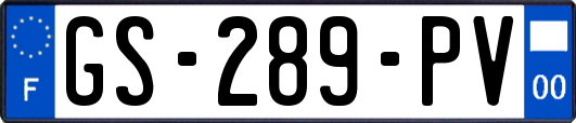 GS-289-PV