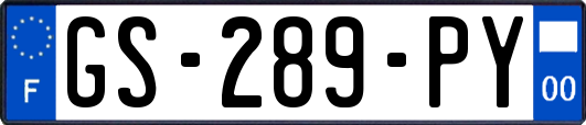 GS-289-PY