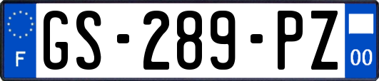 GS-289-PZ