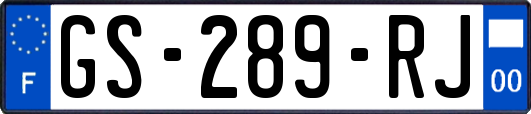 GS-289-RJ