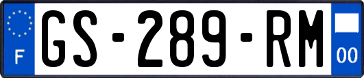 GS-289-RM