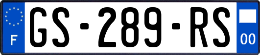 GS-289-RS