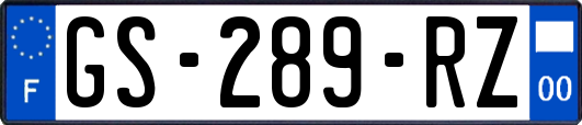 GS-289-RZ