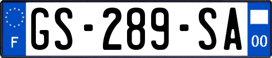 GS-289-SA