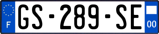 GS-289-SE