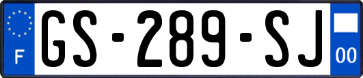 GS-289-SJ