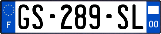 GS-289-SL