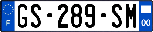 GS-289-SM