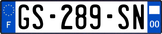 GS-289-SN