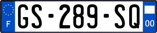 GS-289-SQ