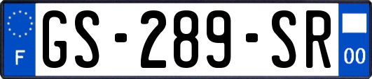 GS-289-SR
