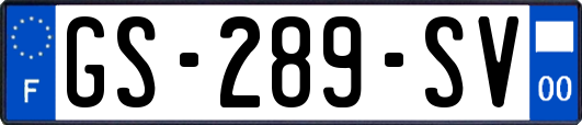 GS-289-SV