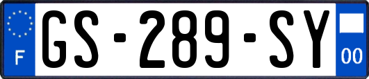 GS-289-SY