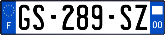 GS-289-SZ