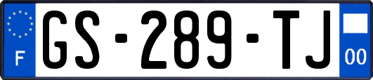 GS-289-TJ