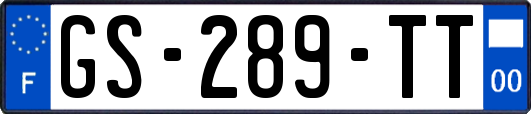 GS-289-TT