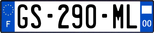 GS-290-ML