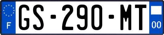 GS-290-MT