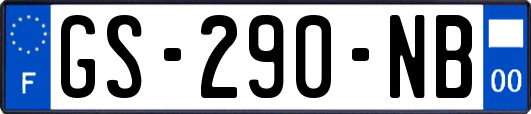 GS-290-NB