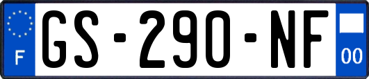 GS-290-NF
