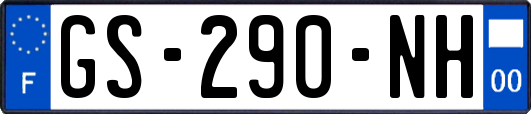 GS-290-NH