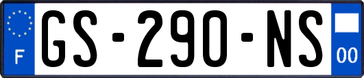 GS-290-NS