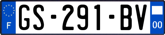 GS-291-BV