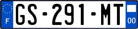 GS-291-MT