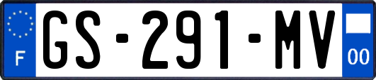 GS-291-MV