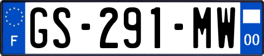 GS-291-MW