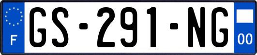 GS-291-NG