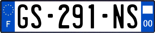GS-291-NS