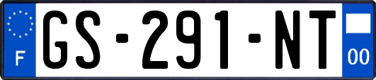GS-291-NT