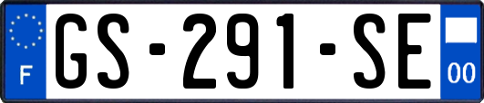 GS-291-SE
