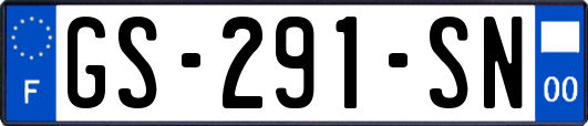 GS-291-SN