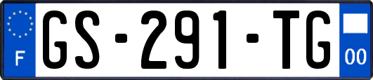 GS-291-TG
