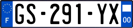 GS-291-YX