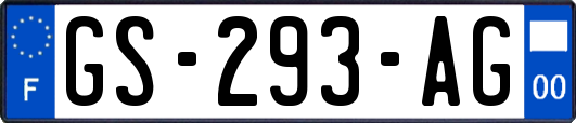 GS-293-AG