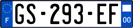 GS-293-EF