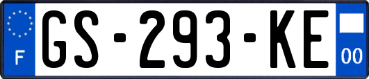 GS-293-KE