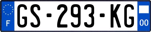 GS-293-KG