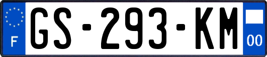 GS-293-KM