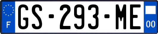GS-293-ME