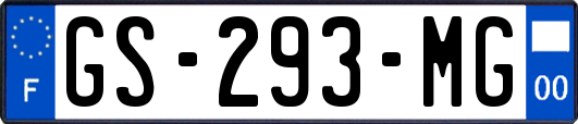 GS-293-MG