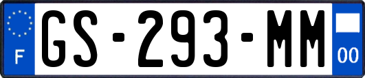 GS-293-MM