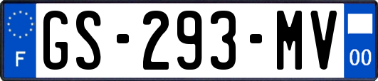GS-293-MV