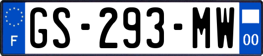 GS-293-MW
